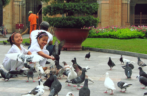 Babies playing with doves in Saigon